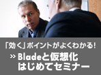 �u�����v�|�C���g���悭�킩��IBlade�Ɖ��z���͂��߂ăZ�~�i�[