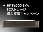 HP P6300 EVA FC�X�g���[�W �����x���L�����y�[��