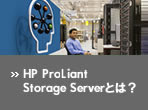 HP ProLiant Storage Server�Ƃ́H