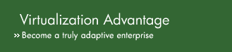 Virtualization Advantage.  Become a truly adaptive enterprise.